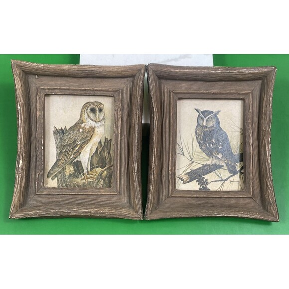 VTG MCM Pair Of Owl Prints 1970’s Rambow Rustic Wall Art Bird Halloween Decor - Picture 1 of 10